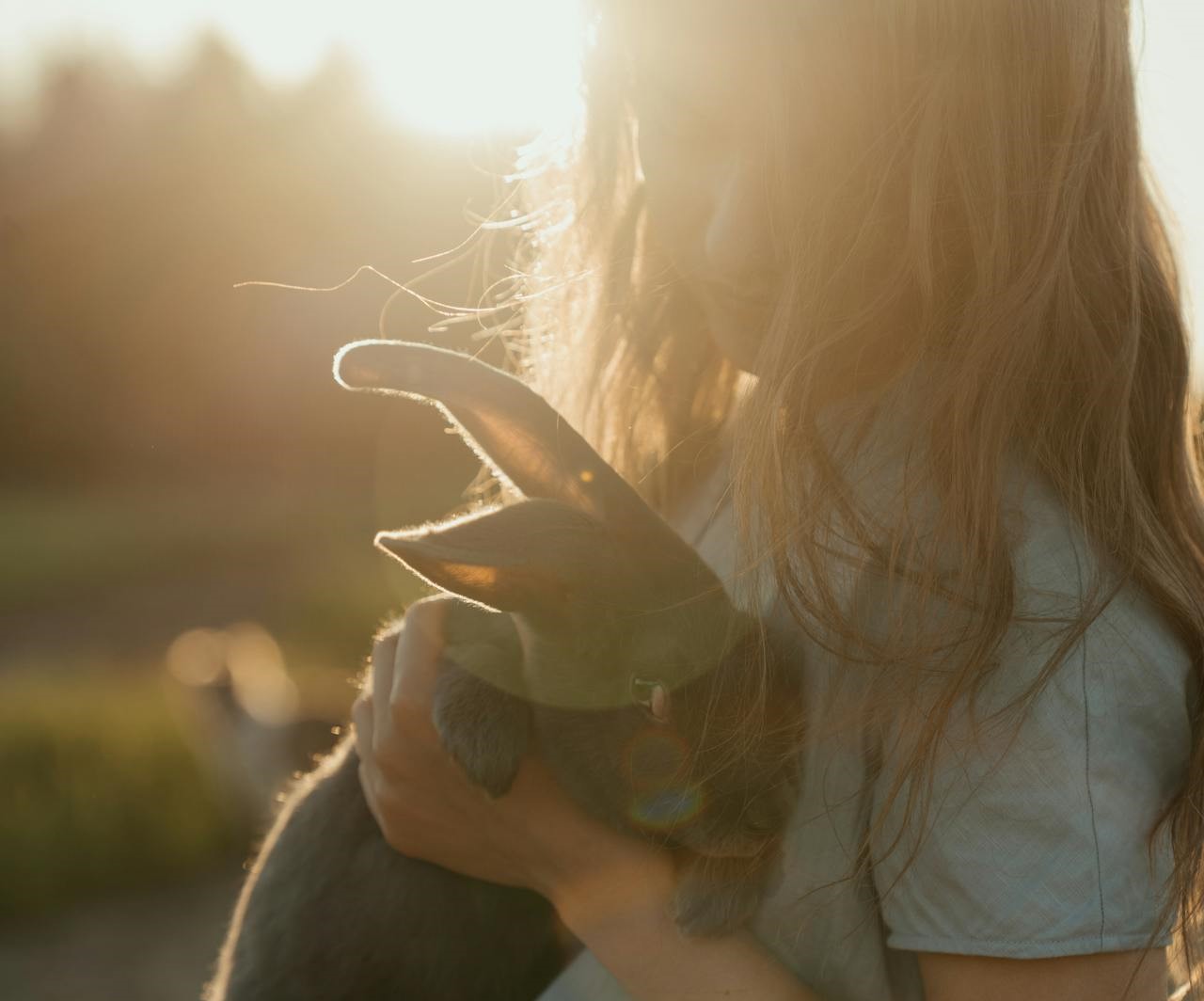 herzerwachen-tiere-gegen-isolation